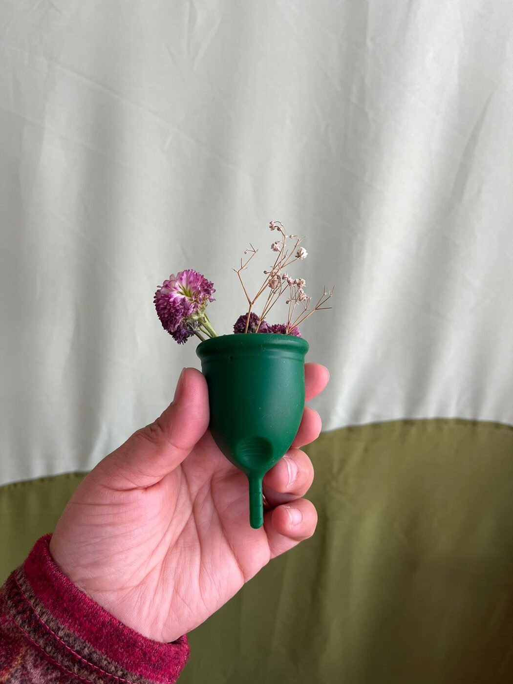 Eco Sathi Menstrual Cup